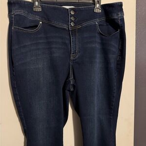 Lane Bryant Deep Indigo Skinny Jeans